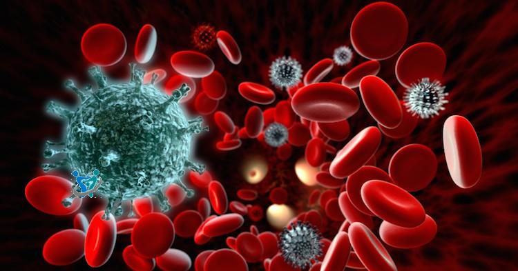 علاج أمراض المناعة الذاتية بالأعشاب 1 autoimmune disease e1440170298416